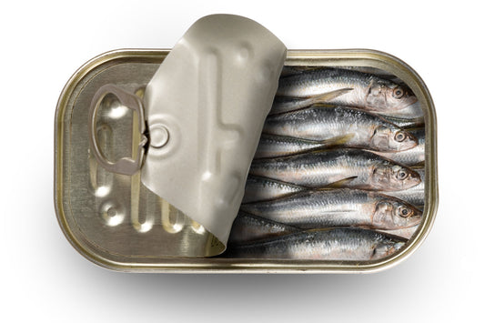 Sardines for Skin Health: Crazy or Genius?