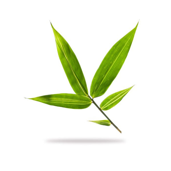 Bamboo Stem Powder