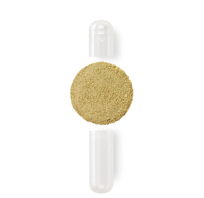 ELEMIS RENEW 21 Day Digestive Support System