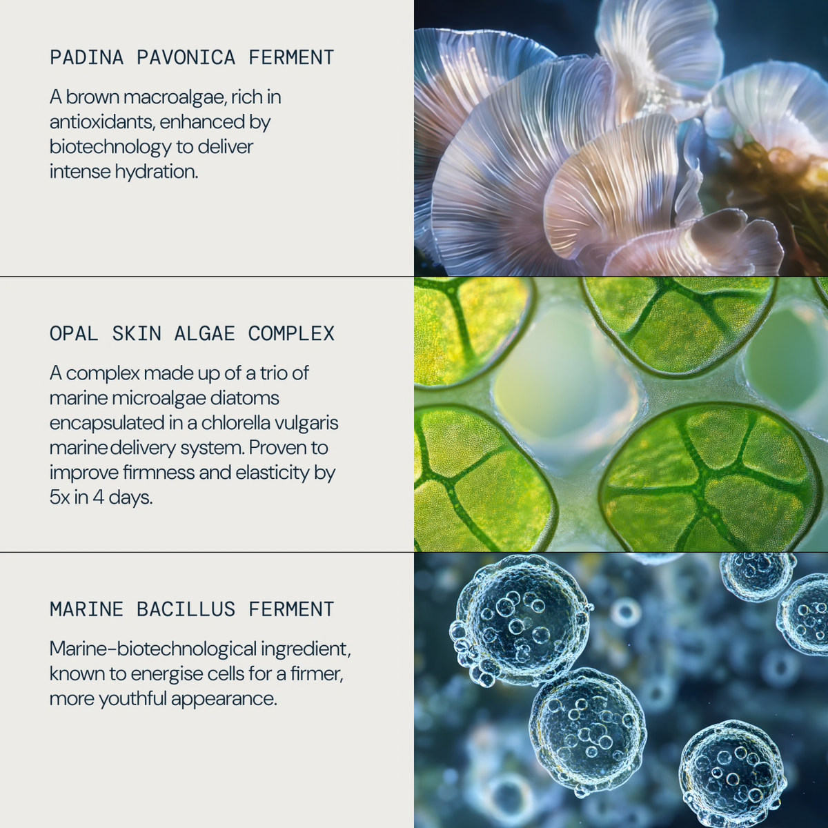 ELEMIS Pro-Collagen Future Restore Serum