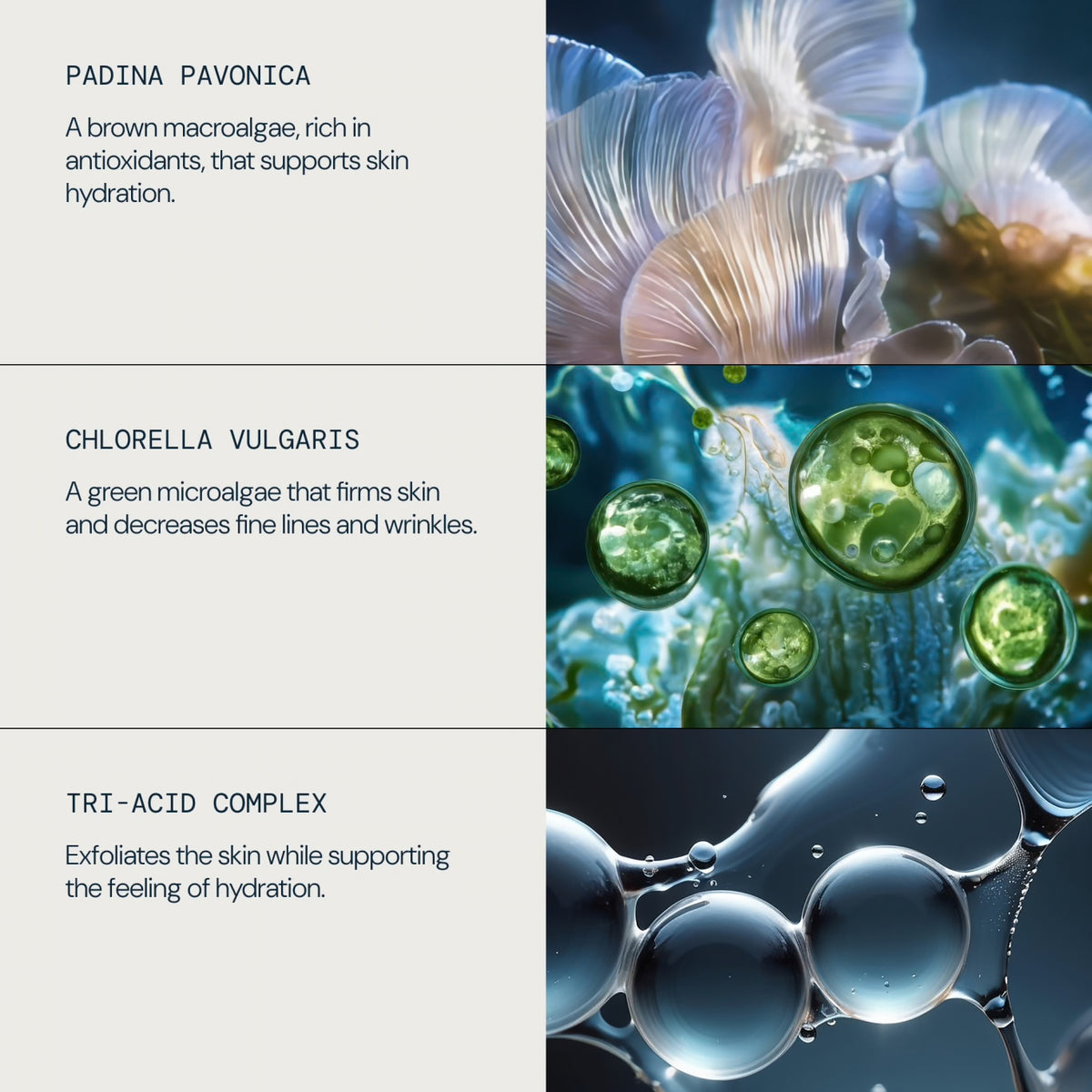 ELEMIS Pro-Collagen Tri-Acid Peel