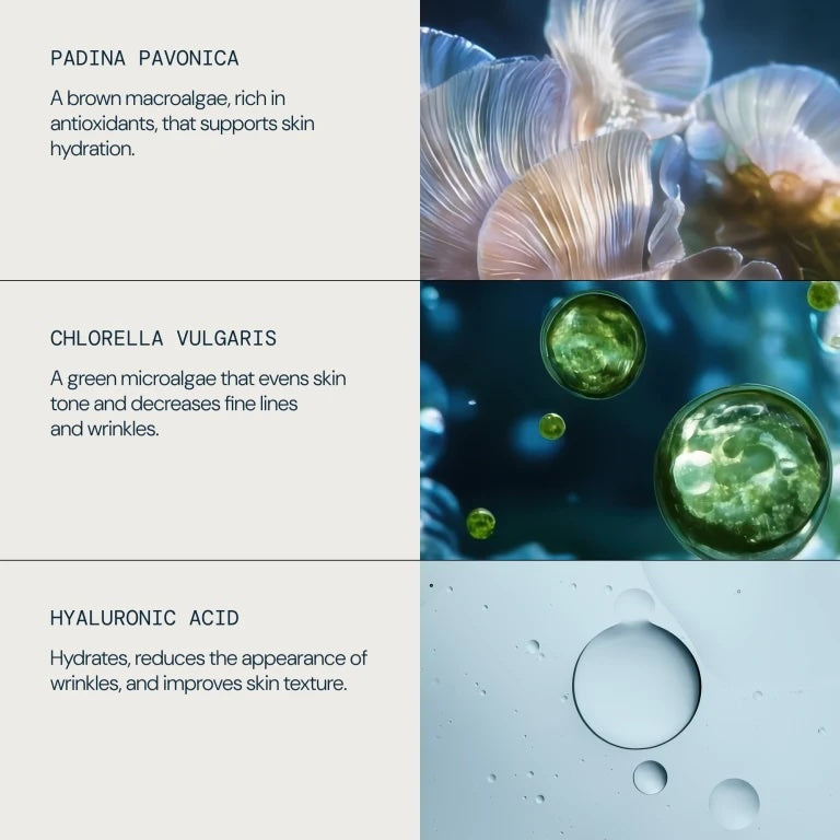 ELEMIS Pro-Collagen Hydra-Gel Eye Mask