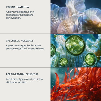 ELEMIS Pro-Collagen Marine Cream SPF 30