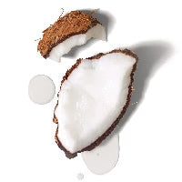 Coconut Oil