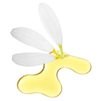 Chamomile Extract