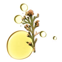 Myramaze Extract