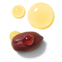 Jojoba Seed Oil