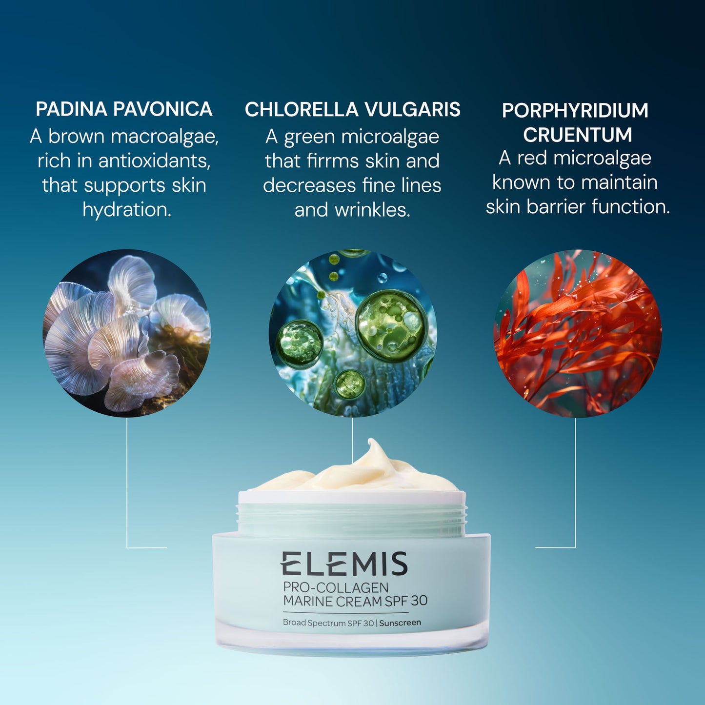 ELEMIS Pro-Collagen Marine Cream SPF 30