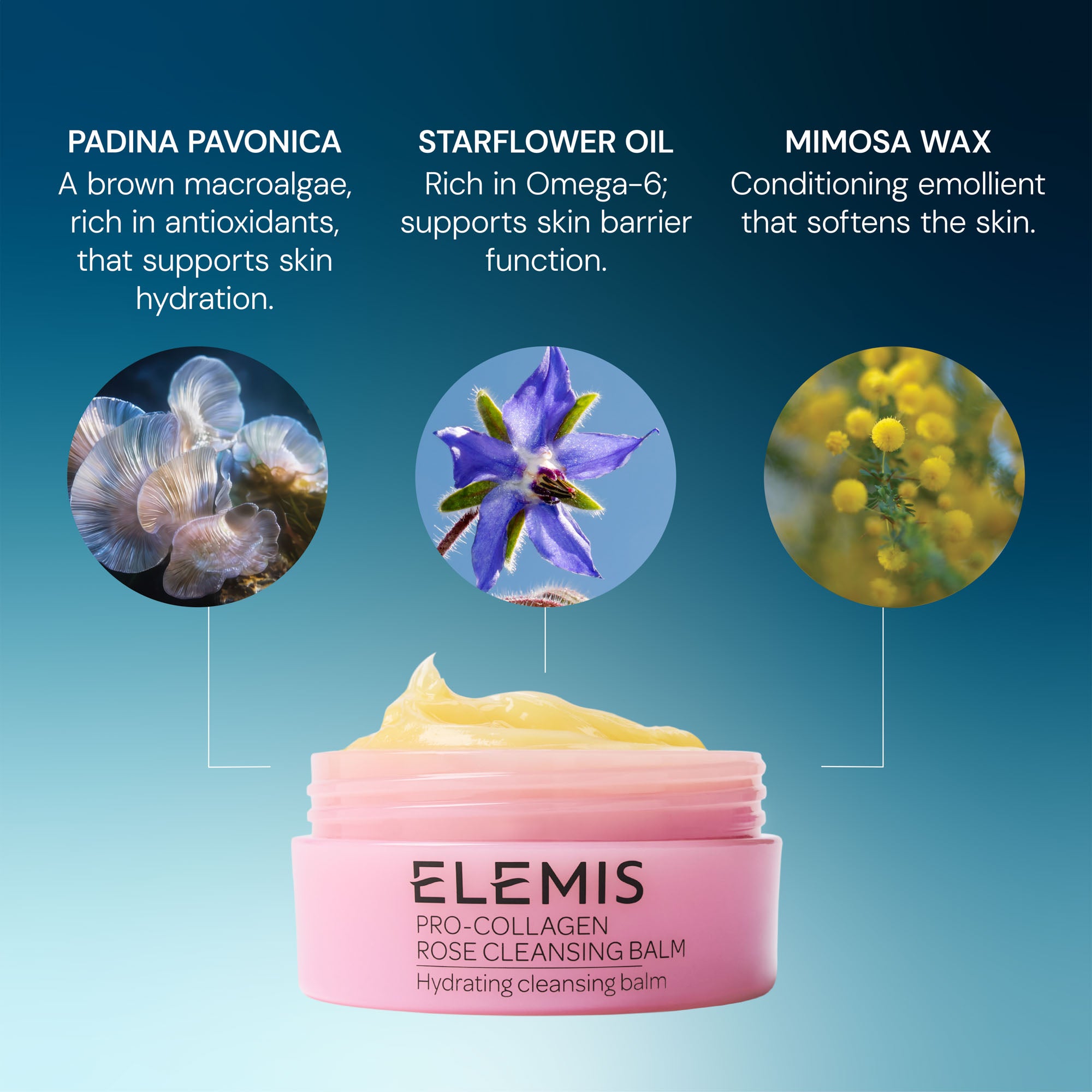 ELEMIS Pro-Collagen Rose Cleansing Balm – TIMETOSPA
