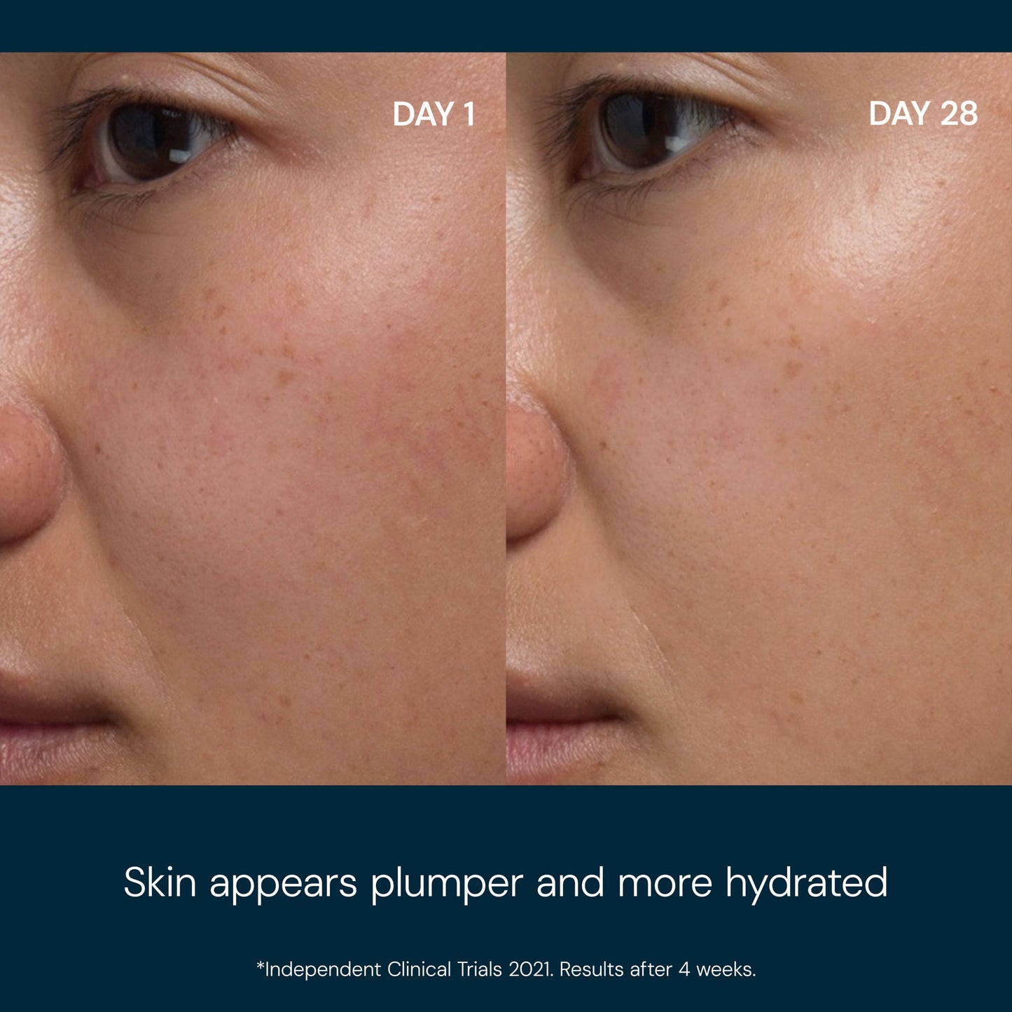 ELEMIS Pro-Collagen Rose Micro Serum