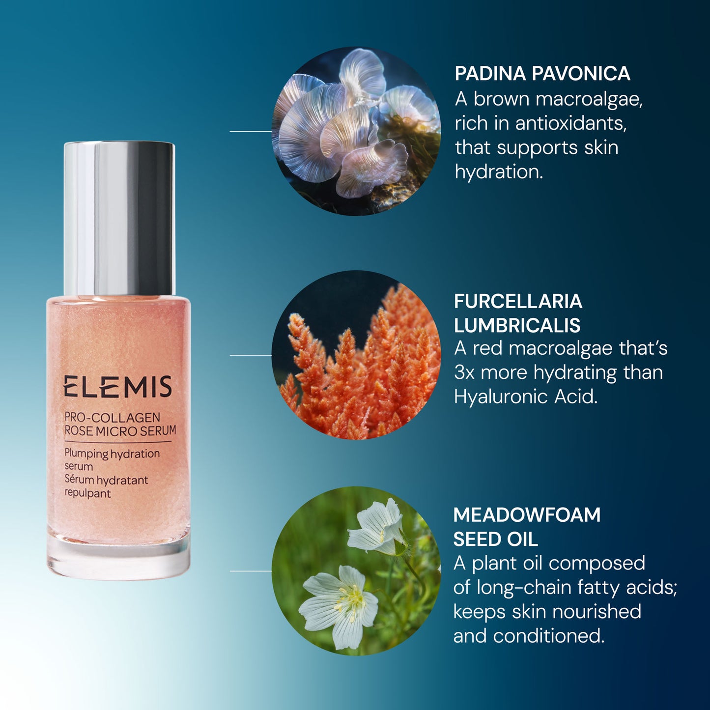 ELEMIS Pro-Collagen Rose Micro Serum