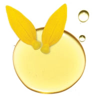 Sunflower Seed Oil