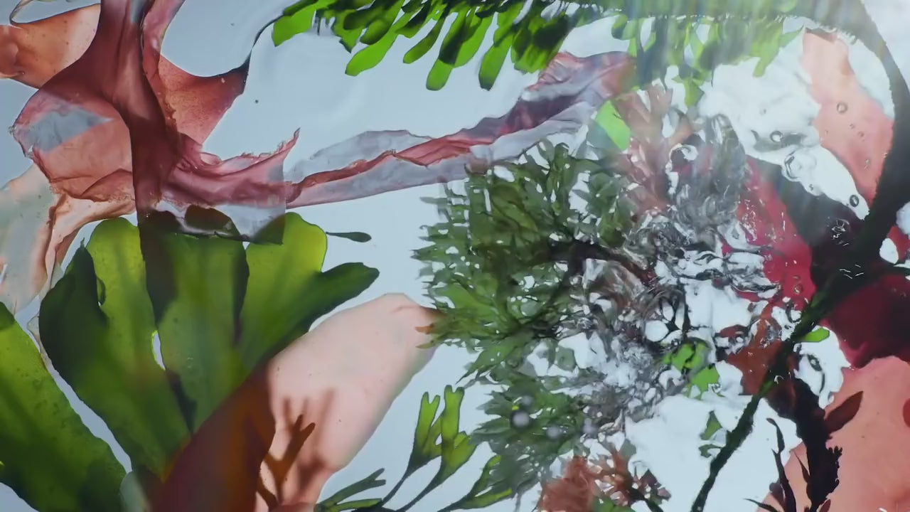 Load video: 